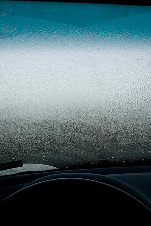Windshield