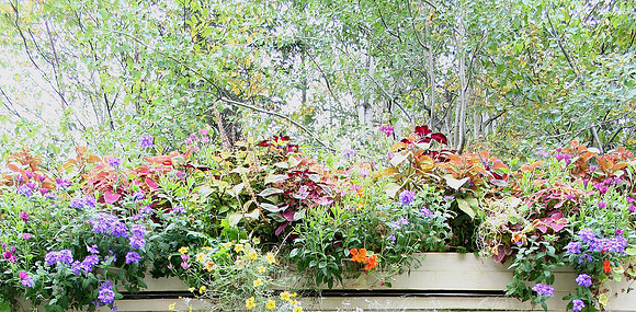 Reford Gardens