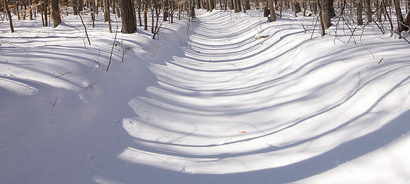 Snow Path