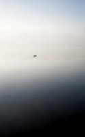 In Fog